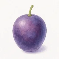 ブドウのイラスト