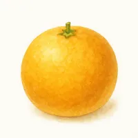 カワノナツダイダイのイラスト