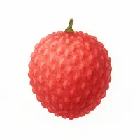 ライチのイラスト