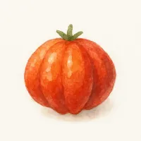 ピタンガのイラスト