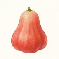 フトモモのイラスト