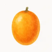 サジーのイラスト