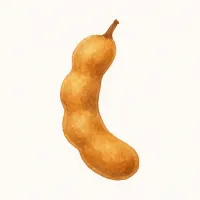 タマリンドのイラスト