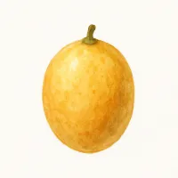 ワンピのイラスト