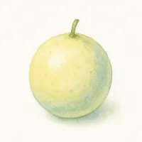 ミズレモンのイラスト