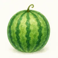 スイカのイラスト