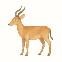 レイヨウのイラスト