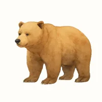 ヒグマのイラスト