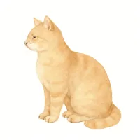 ネコのイラスト