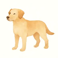 イヌのイラスト