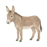 ロバのイラスト