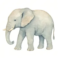 ゾウのイラスト
