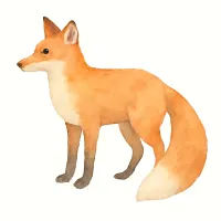 キツネのイラスト