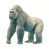 ゴリラのイラスト
