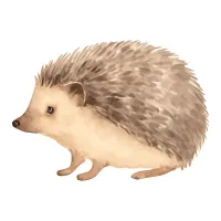 ハリネズミのイラスト