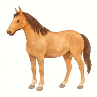 ウマのイラスト