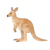 カンガルーのイラスト