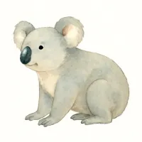 コアラのイラスト