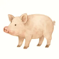 ブタのイラスト
