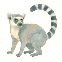 ワオキツネザルのイラスト