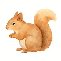 リスのイラスト