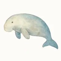 ジュゴンのイラスト