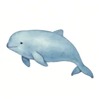 スナメリのイラスト