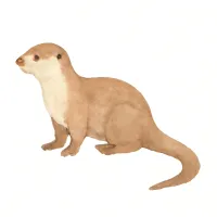 カワウソのイラスト