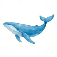 クジラのイラスト