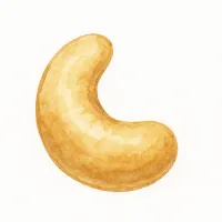 カシューナッツのイラスト