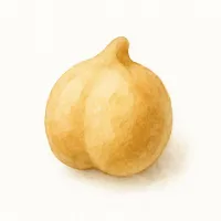 ヒヨコマメのイラスト