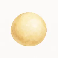 マカダミアナッツのイラスト