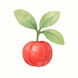 アセロラのイラスト
