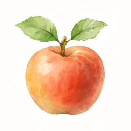 リンゴのイラスト