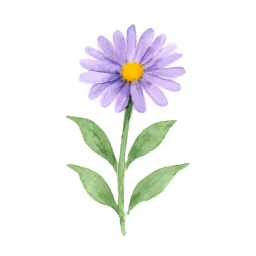 アスターのイラスト