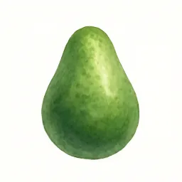 アボカドのイラスト