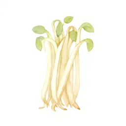 モヤシのイラスト