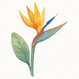 ストレリチアのイラスト