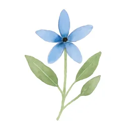 ブルースターのイラスト