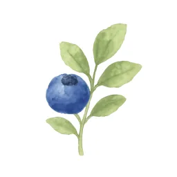 ブルーベリーのイラスト