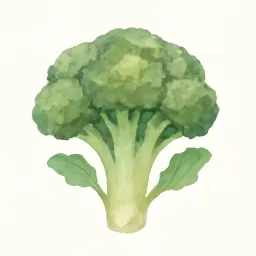 ブロッコリーのイラスト