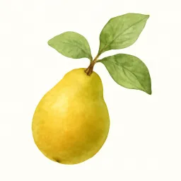 カリンのイラスト