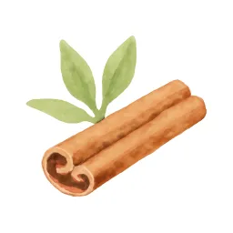 シナモンのイラスト