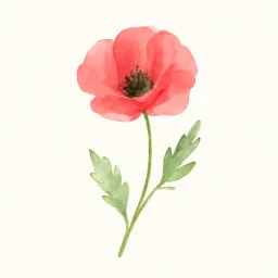 ヒナゲシのイラスト