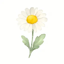 デイジーのイラスト