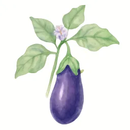 ナスのイラスト