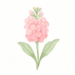 ストックのイラスト