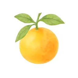 グレープフルーツのイラスト
