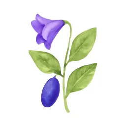 ハスカップのイラスト