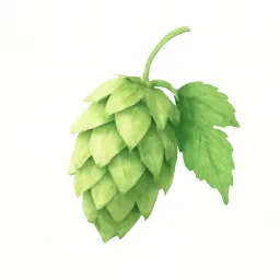ホップのイラスト